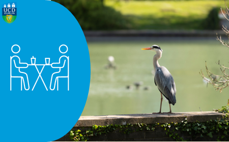 World Caf&eacute; - Sustainability 